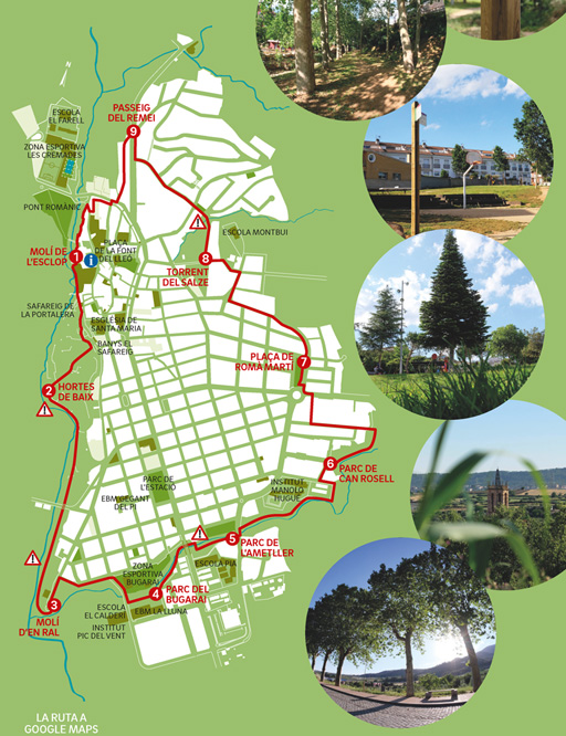 AAFF_CAMÍ ORBITAL.indd