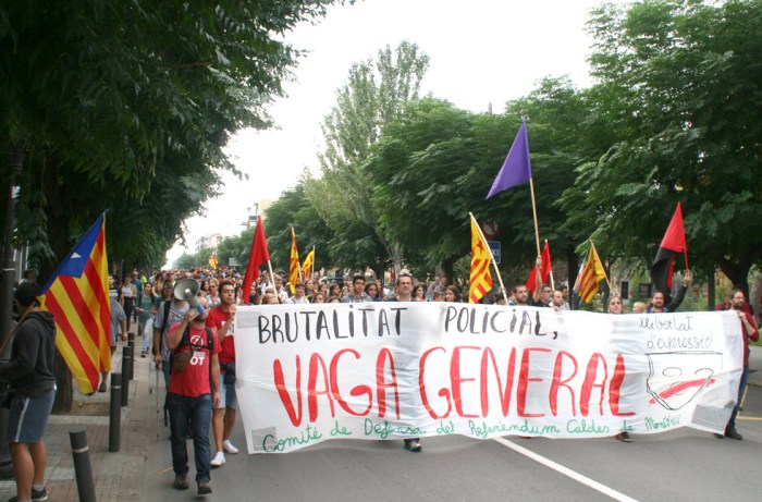 vaga general referendum